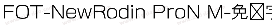FOT-NewRodin ProN M字体转换